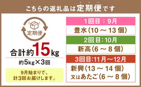 037-1054 【先行予約】【3回定期便】 3種の梨 食べ比べ 定期便 合計 約15kg【2024年9月上旬発送予定】