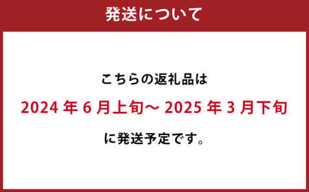 109-1101 カボスラードラー 330ml×6本 豊後大野市産かぼす100％使用 ビール クラフトビール 【2024年6月上旬から2025年3月下旬発送】