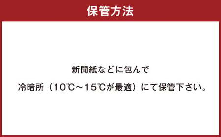 134-1145 甘太くん 5kg（Ｍ～2Lサイズ） さつまいも 芋 紅はるか 【2024年12月下旬から2025年4月上旬発送予定】 