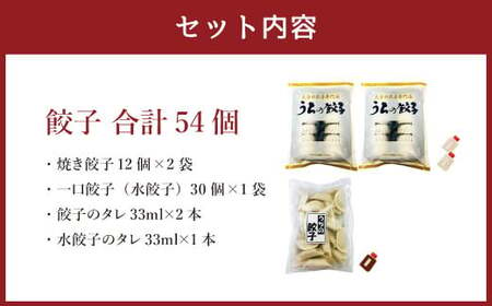 051-1169 焼き餃子と一口餃子（水餃子）「Aセット」合計54個 タレ付き 焼き餃子 一口餃子 水餃子 餃子 ぎょうざ ギョウザ  冷凍 おかず おつまみ 中華