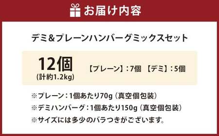 175-1212 【おおいた和牛 100%使用】デミ＆プレーン ハンバーグ ミックス セット 12個 計約1.2kg 牛肉 肉 和牛 おかず 惣菜 冷凍 簡単調理 デミグラス