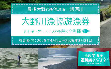 024-1062x1 大野川漁協遊漁券 ウナギ・アユ・エノハを除く全魚種