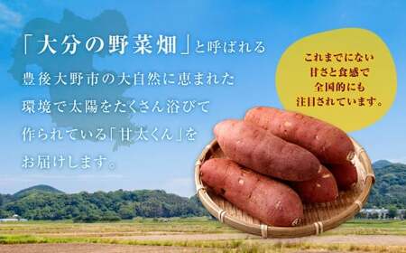 171-1133x1 【先行予約】 高糖度さつまいも 甘太くん 約2.8kg（Lサイズ5本・Mサイズ8本） サツマイモ 甘藷 かんしょ おやつ 焼き芋 【2025年11月下旬から2026年4月下旬発送予定】