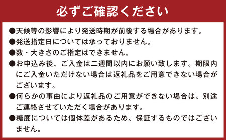 004-1303 はるか姫 約3.5kg（A品） さつまいも いも イモ 芋 紅はるか べにはるか 国産 常温 大分県 豊後大野市 【2025年11月下旬～2026年5月下旬発送予定】