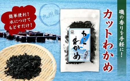 081-1312 九州産 カットわかめ 20g×5袋 計100g ワカメ 海藻 海産物 乾燥 セット 国産 九州 常温