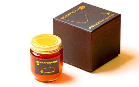 025-763x2 【TV番組で紹介されました】 日本ミツバチ の 純粋 生蜂蜜 220g ハチミツ はちみつ 国産 生はちみつ 【2025年11月下旬より順次発送予定】