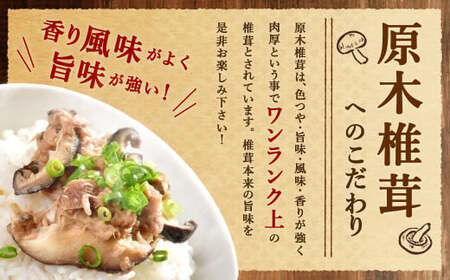 015-1185x1 山盛り 不揃い 椎茸 500g 訳あり 乾燥椎茸 きのこ 茸