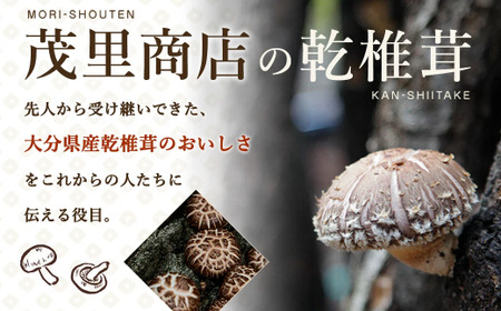 015-1185x1 山盛り 不揃い 椎茸 500g 訳あり 乾燥椎茸 きのこ 茸