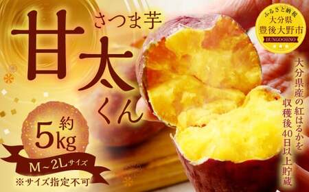 134-1145x1 甘太くん 5kg（Ｍ～2Lサイズ） さつまいも 芋 紅はるか 【2025年12月下旬～2026年4月上旬発送予定】 