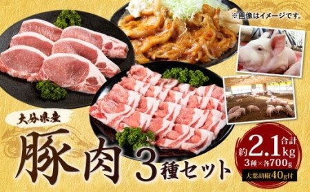 022-490 大分県産 豚肉 セット 約2.1kg 大葉胡椒付き