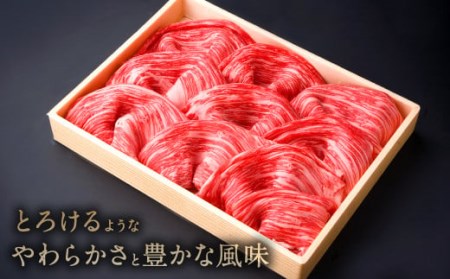 082-444 豊後牛 肩肉 すき焼き用 野菜 セット 計850g 和牛 牛肉