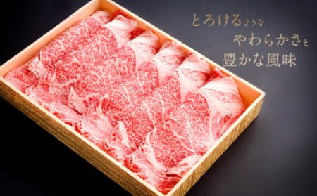 082-425 豊後牛 リブロース 鉄板焼用 700g 和牛 牛肉 ロース