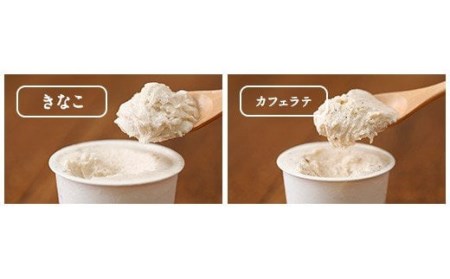 021-132 手づくり ジェラート 詰合せ カップアイス 10個セット アイス