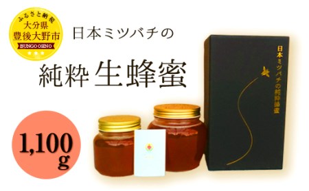 025-767 日本ミツバチ の 純粋 生蜂蜜 1100g ハチミツ はちみつ 国産