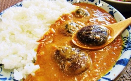 022-331 豊後 きのこ カレー 180g×10食 椎茸 ご自宅用 パウチ 常温保存可能 ローリングストック