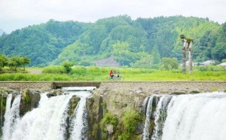 140-658 豊後大野市への寄付(返礼品はありません)1口 5万円