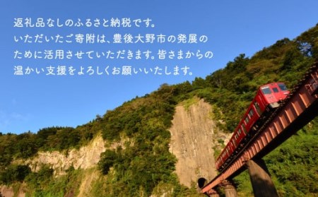 140-661 豊後大野市への寄付（返礼品はありません）1口 100万円