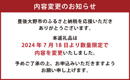 015-1142 【訳あり】【賞味期限間近】おいしくモリモリ 豊後大野 カレー 家庭用 13袋 計2.3kg