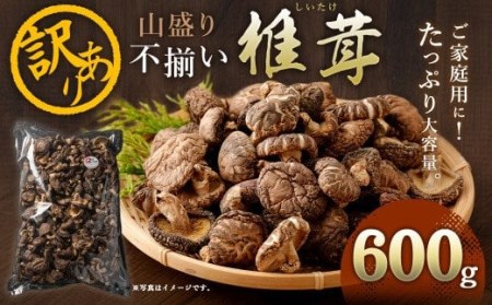 015-694 山盛り 不揃い 椎茸 600g 訳あり 乾燥椎茸 きのこ 茸