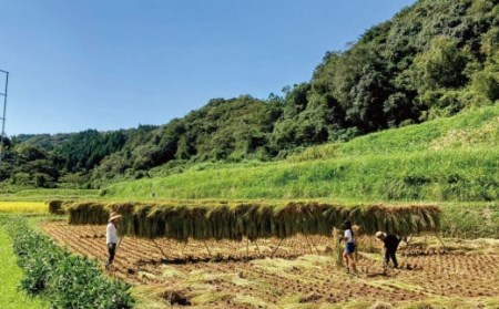 154-827 天日干し ひのひかり 5kg お米 ご飯 自然農法 籾貯蔵 新鮮 大分県産