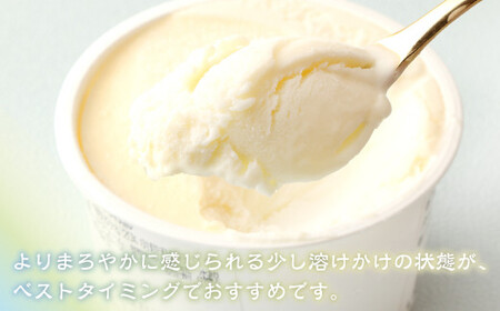 158-950 綿田の米 塩アイス 8個 セット アイス アイスクリーム デザート お米アイス