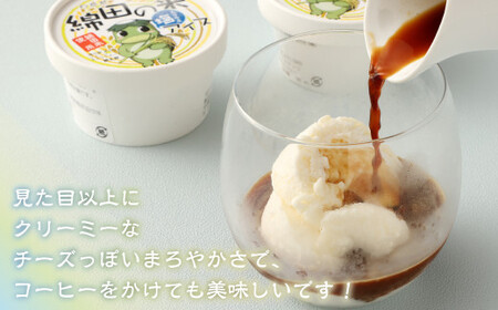 158-950 綿田の米 塩アイス 8個 セット アイス アイスクリーム デザート お米アイス