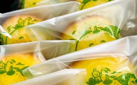 085-945 かぼっこちぃずBOX お菓子 かぼす チーズケーキ 焼菓子 詰め合わせ 合計10個 セット