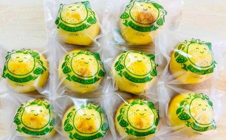 085-945 かぼっこちぃずBOX お菓子 かぼす チーズケーキ 焼菓子 詰め合わせ 合計10個 セット