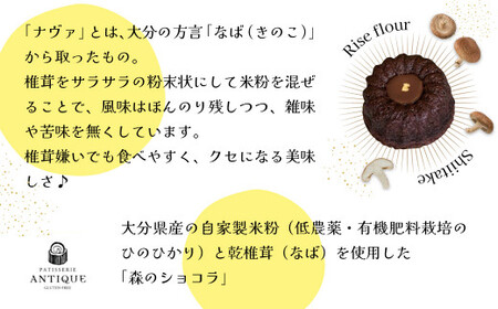 085-943 ナヴァショコラBOX	チョコレートケーキ ショコラ しいたけ 米粉 ケーキ デザート スイーツ