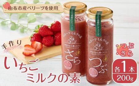 【定期便 全4回】ゆふの朝はこれ！モーニング お楽しみセット（牛乳・ベーグルなど）