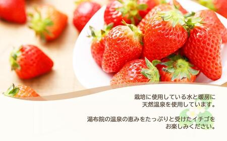 【2025年発送/先行予約】湯布院の温泉で育てたいちご おまかせ約2kg（約250g×8パック）