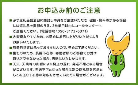 【2025年発送/先行予約】湯布院の温泉で育てたいちご おまかせ約2kg（約250g×8パック）