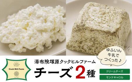 ゆふいん牛乳でつくった 特選 無添加 チーズ 2種類（クリームチーズ・モンテキャトル）セット＜湯布院クックヒルファームからお届け＞