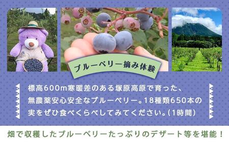 【湯布院 熊谷牧場・雛戸】施設内なんでも使える！ブルーベリー・キャンプガーデン ご利用補助券 3,000円分