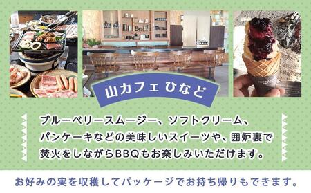 【湯布院 熊谷牧場・雛戸】施設内なんでも使える！ブルーベリー・キャンプガーデン ご利用補助券 3,000円分