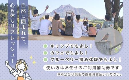 【湯布院 熊谷牧場・雛戸】施設内なんでも使える！ブルーベリー・キャンプガーデン ご利用補助券 3,000円分