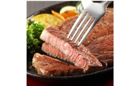 おおいた和牛 １ポンド サーロインステーキ 450g　