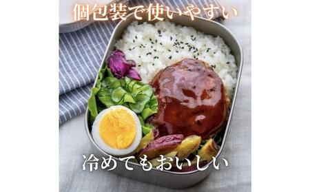 ＜おおいた和牛100％使用＞デミハンバーグ 個包装 10個 計約1.5kg