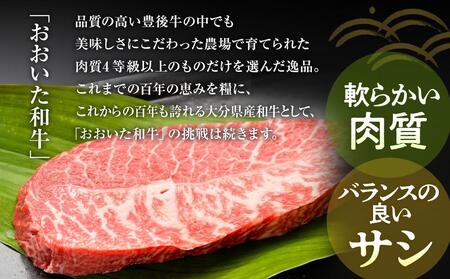【厳選希少部位】おおいた和牛 ミスジステーキ 約500g（100g×5p）