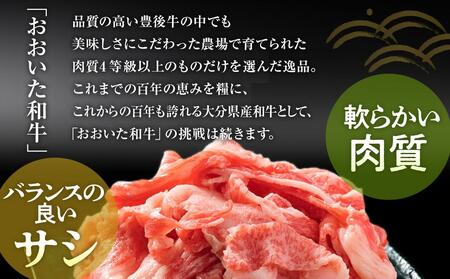 おおいた和牛 切り落とし 800g（400g×2個）