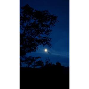 湯布院　ＭＩＫＡＴＡ　アロマスリーピングミスト幻酔ーGENSUIー