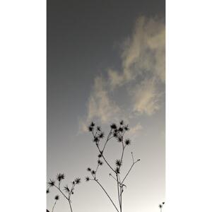 湯布院　ＭＩＫＡＴＡ　KO-HA(香葉) セット　香炉+No.03 Yasmin -芳茗-