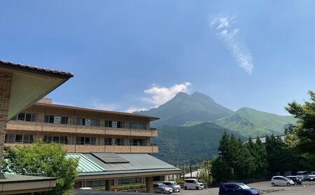 湯布院病院 温泉プール利用券 10枚綴り