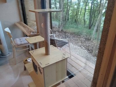 YUFUIN HOGONEKO FOREST　森の中で保護猫と一緒に宿泊できるチケット（年末年始不可、食事なし）