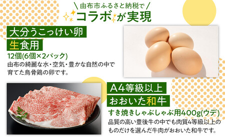 【ゆふの福袋】＜ゆふぶくろ＞これで完璧！すき焼きセット＼由布市制施行20周年記念返礼品／