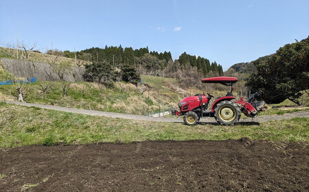 なつほのか（精米） 5kg 【先行予約／数量限定】