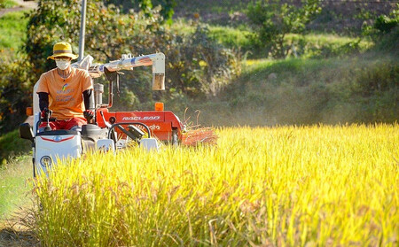 なつほのか（精米） 5kg 【先行予約／数量限定】