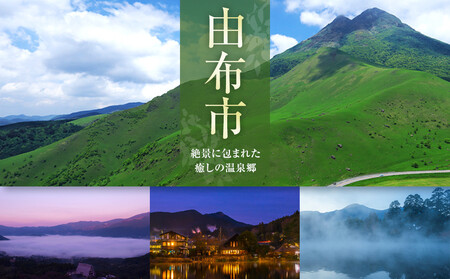 ＼年内発送／ 【食工房　風曜日】2種のジャムセット（ブルーベリー・ゆず）