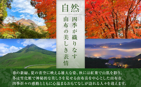 ＼年内発送／ 【食工房　風曜日】2種のジャムセット（ゆず・ポポー）