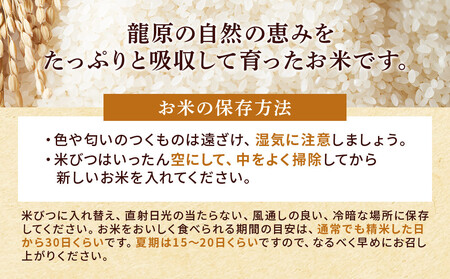 龍のひかり米 なつほのか(精米)4kg(2kg×2)